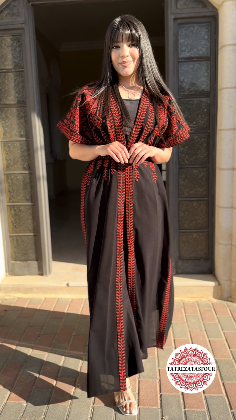 Black Chiffon - Red Embroidery