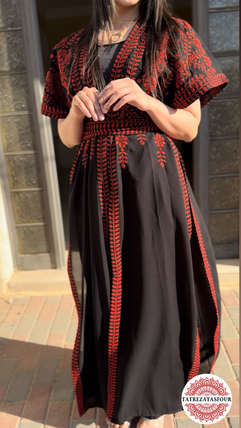 Black Chiffon - Red Embroidery